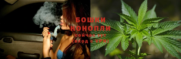 ГАЛЛЮЦИНОГЕННЫЕ ГРИБЫ Наволоки