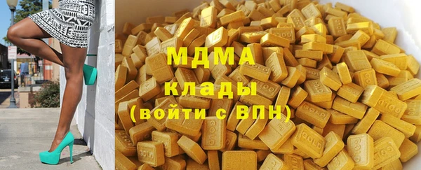 стаф Верея