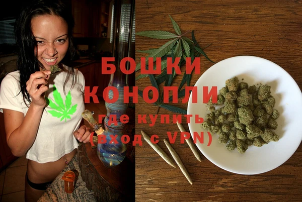 ГАЛЛЮЦИНОГЕННЫЕ ГРИБЫ Наволоки